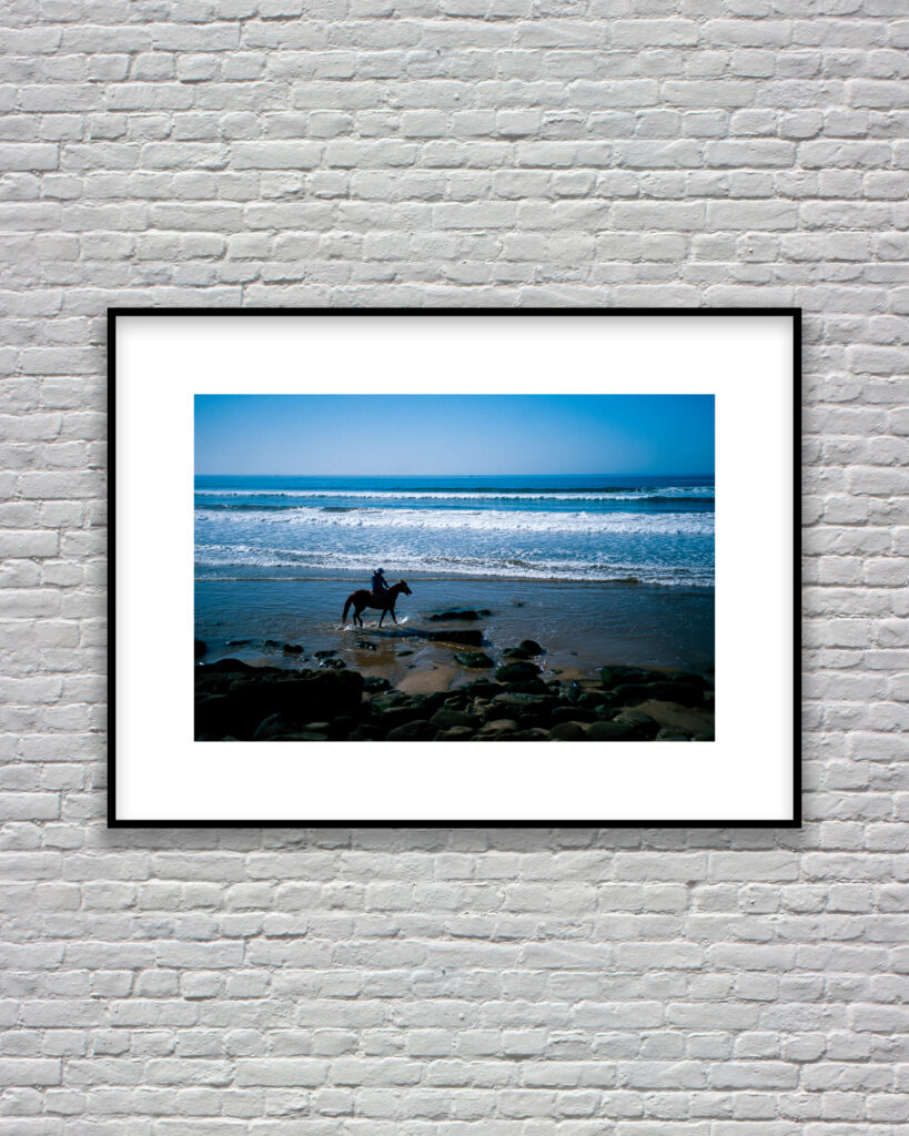 Taghazout E100, Cavalier