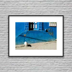 Taghazout Vision 3, Wild Cat