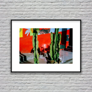 Aghroud Vision 3, Cactus