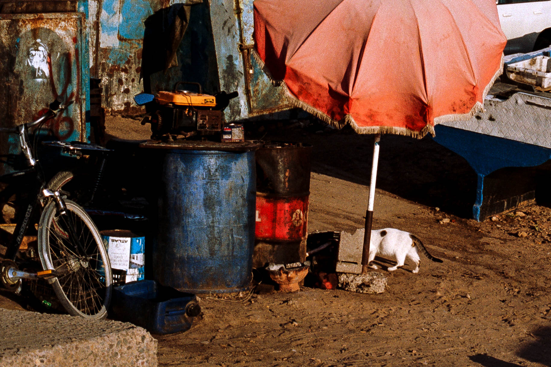 Taghazout Vision 3, Half Cat – Image 2